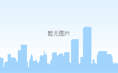 老师傅 chat gpt批量写作软件